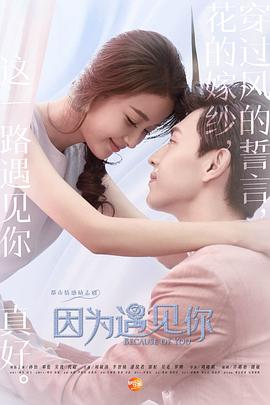 因为遇见你第24集