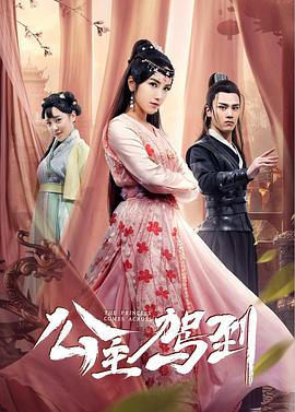 公主驾到第14集