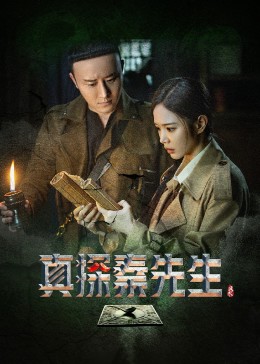 真探秦先生8