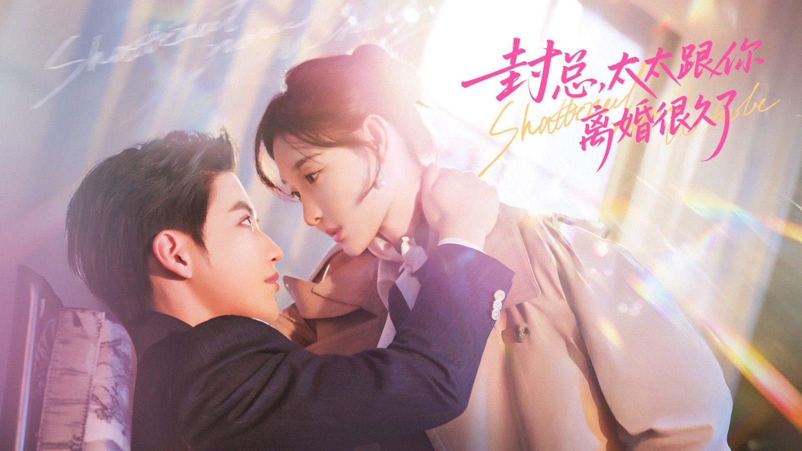 封总，太太跟你离婚很久了(全集)