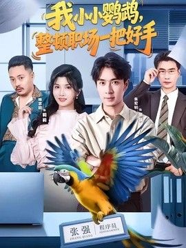 我小小鹦鹉，整顿职场一把好手全集完结(大结局)